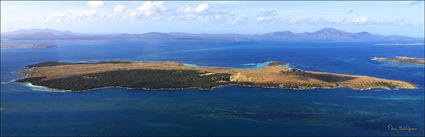 Great Dog Island - Flinders Island - TAS (PBH4 00 11328)